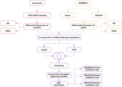 Combined transcriptomics and proteomics forecast analysis for potential biomarker in the acute phase of temporal lobe epilepsy